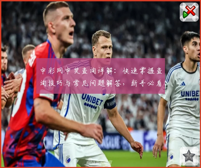 中彩网中奖查询详解：快速掌握查询技巧与常见问题解答，新手必看攻略