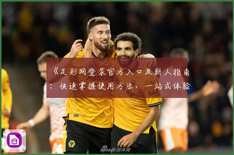《足彩网登录官方入口及新人指南:快速掌握使用方法,一站式体验更多精彩功能》