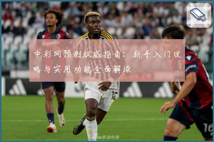 中彩网预测权威指南：新手入门攻略与实用功能全面解读
