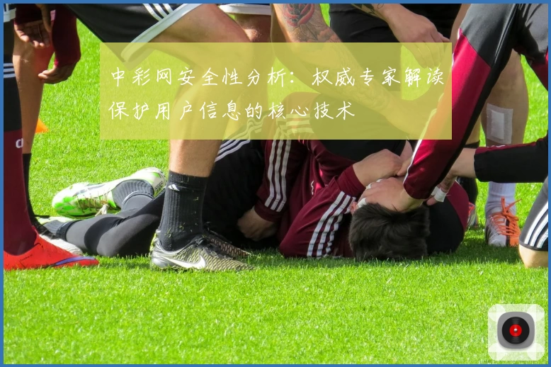 中彩网安全性分析：权威专家解读保护用户信息的核心技术