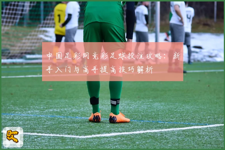 中国足彩网竞彩足球投注攻略:新手入门与高手提高技巧解析